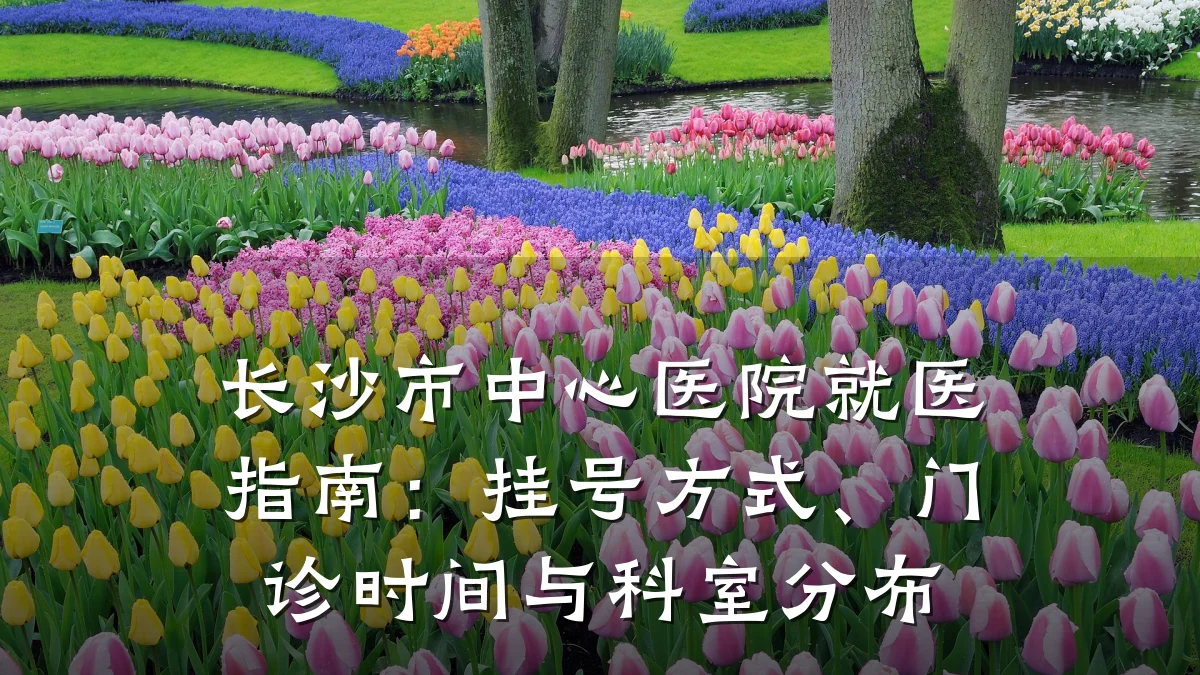 长沙市中心医院就医指南：挂号方式、门诊时间与科室分布