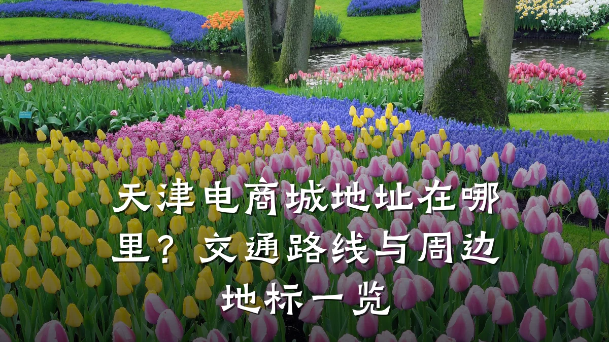 天津电商城地址在哪里?交通路线与周边地标一览