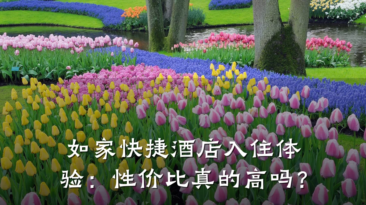 如家快捷酒店入住体验:性价比真的高吗?