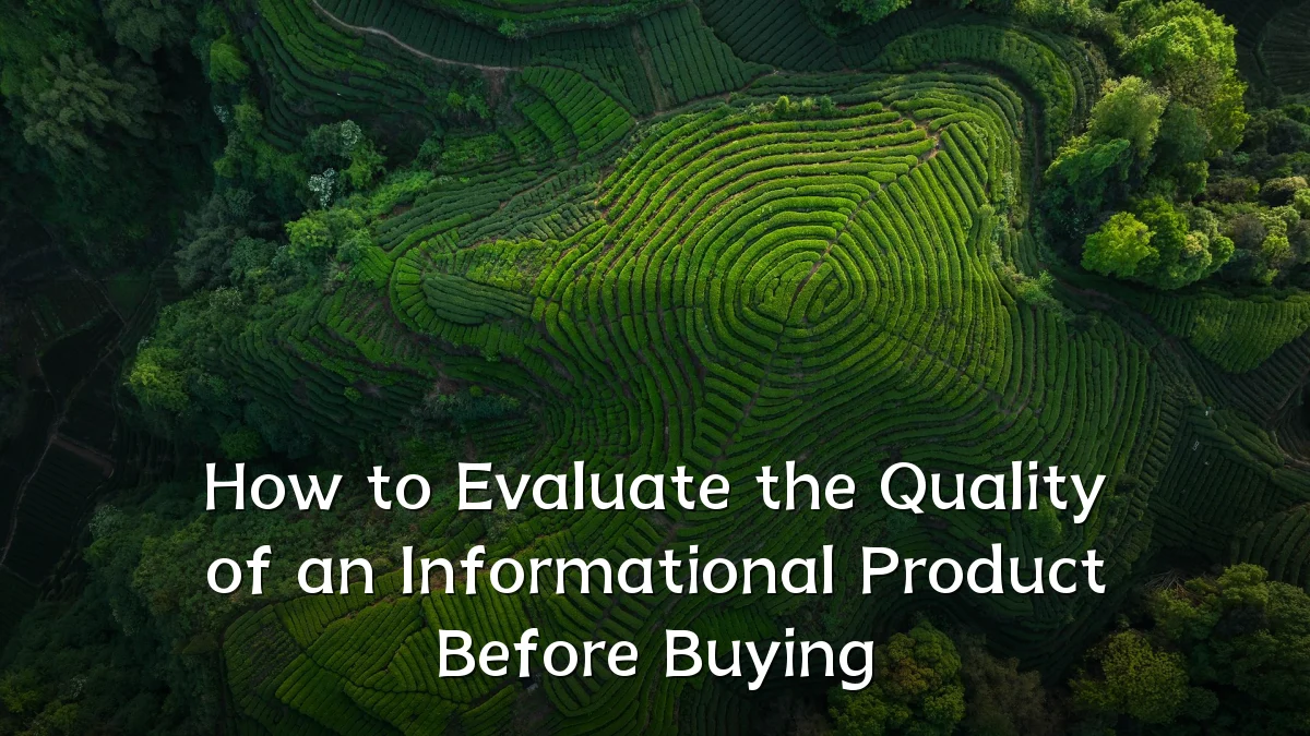 How to Evaluate the Quality of an Informational Product Before Buying