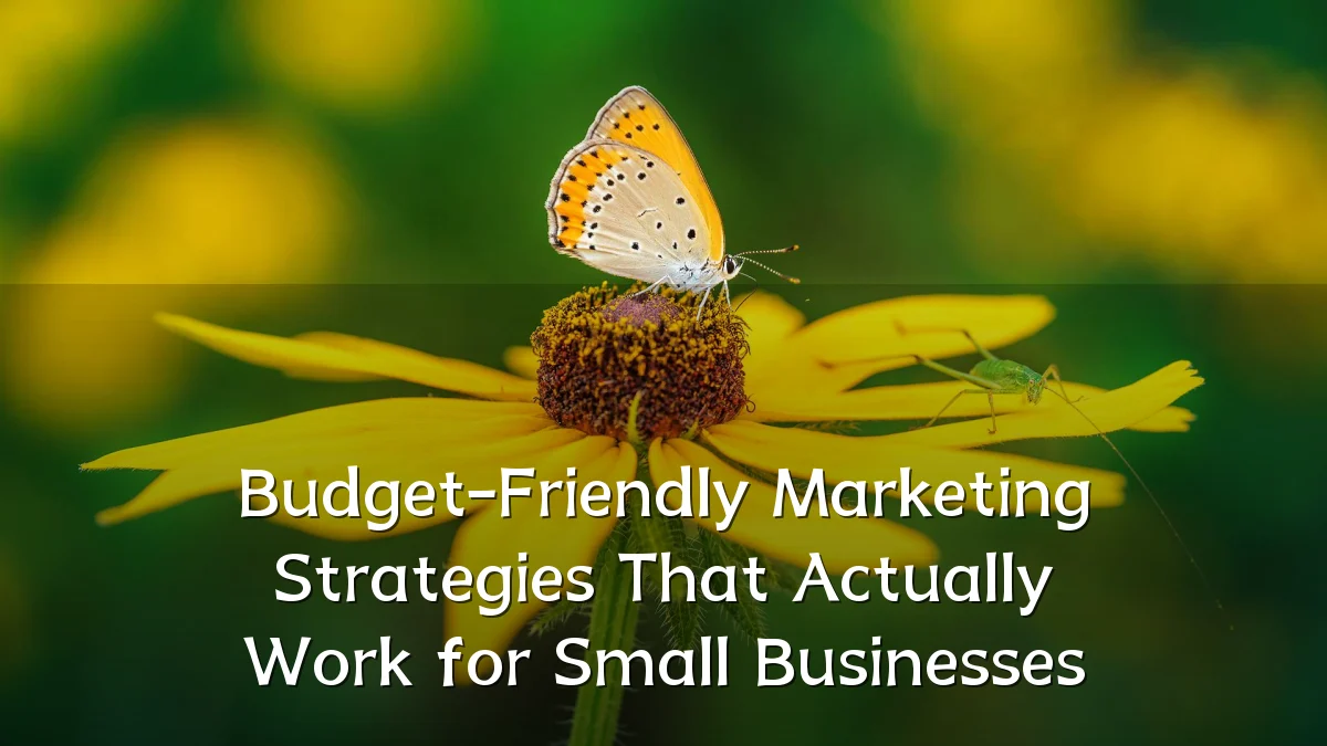 Budget-Friendly Marketing Strategies That Actually Work for Small Businesses