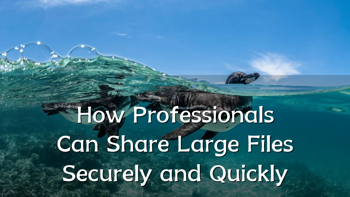 How Professionals Can Share Large Files Securely and Quickly