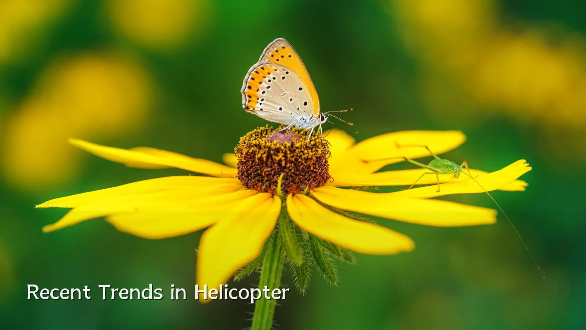 Recent Trends in Helicopter