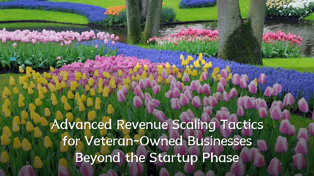 Advanced Revenue Scaling Tactics for Veteran-Owned Businesses Beyond the Startup Phase