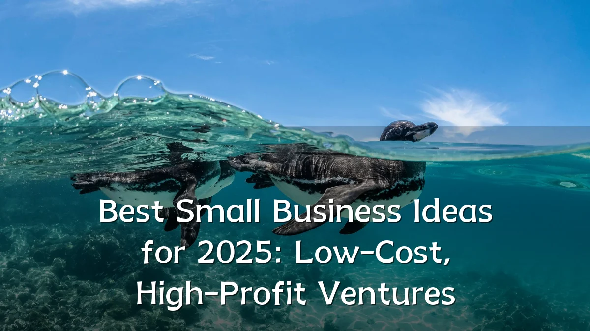 Best Small Business Ideas for 2025: Low-Cost, High-Profit Ventures