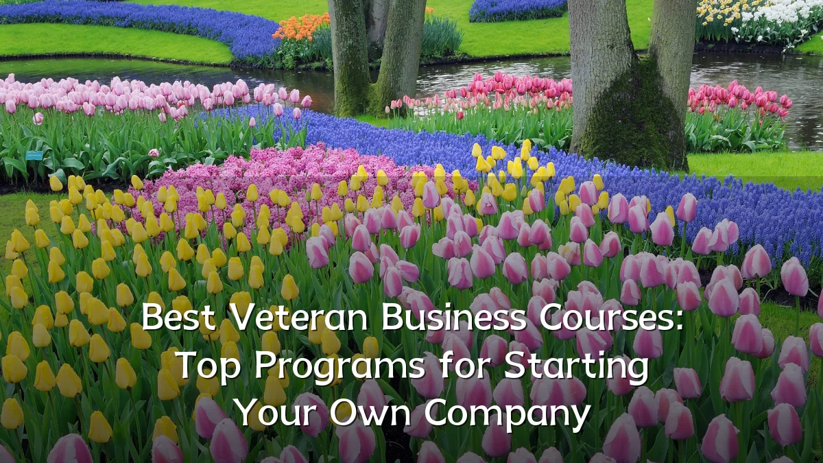 Best Veteran Business Courses: Top Programs for Starting Your Own Company