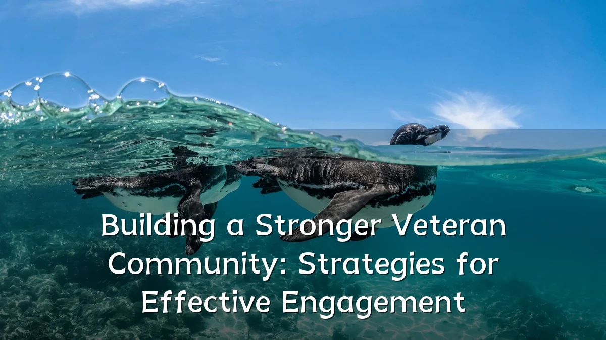 Building a Stronger Veteran Community: Strategies for Effective Engagement