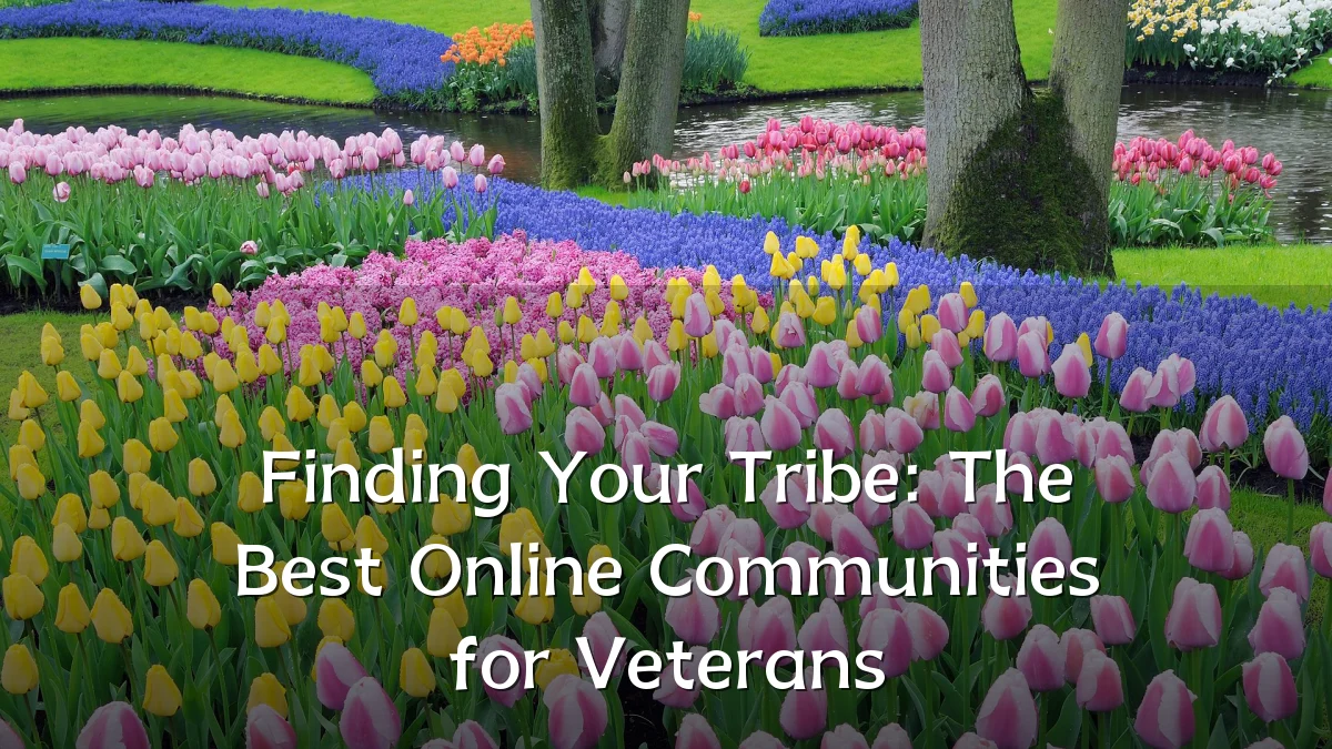 Finding Your Tribe: The Best Online Communities for Veterans