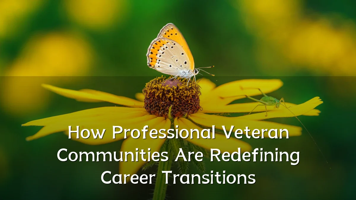 How Professional Veteran Communities Are Redefining Career Transitions