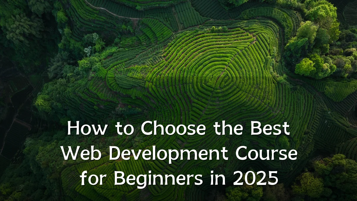 How to Choose the Best Web Development Course for Beginners in 2025