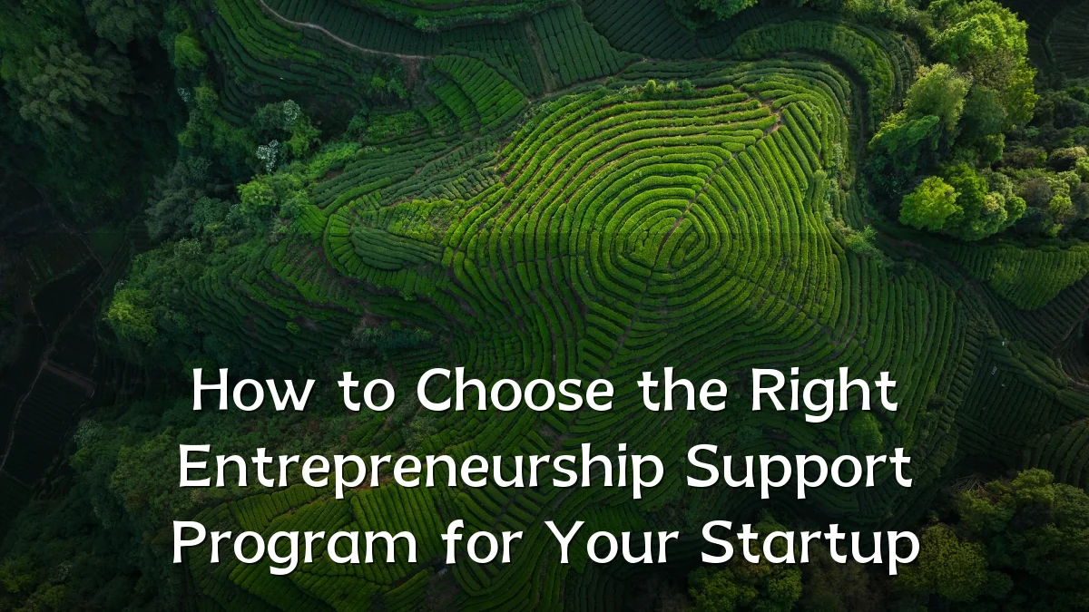 How to Choose the Right Entrepreneurship Support Program for Your Startup