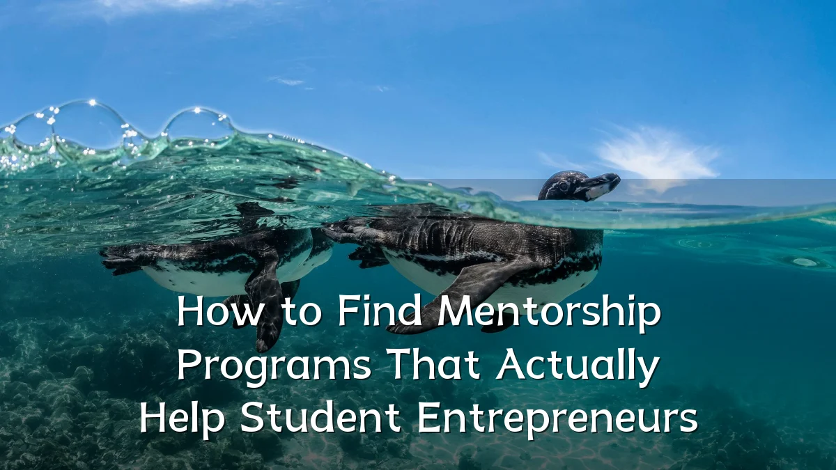 How to Find Mentorship Programs That Actually Help Student Entrepreneurs