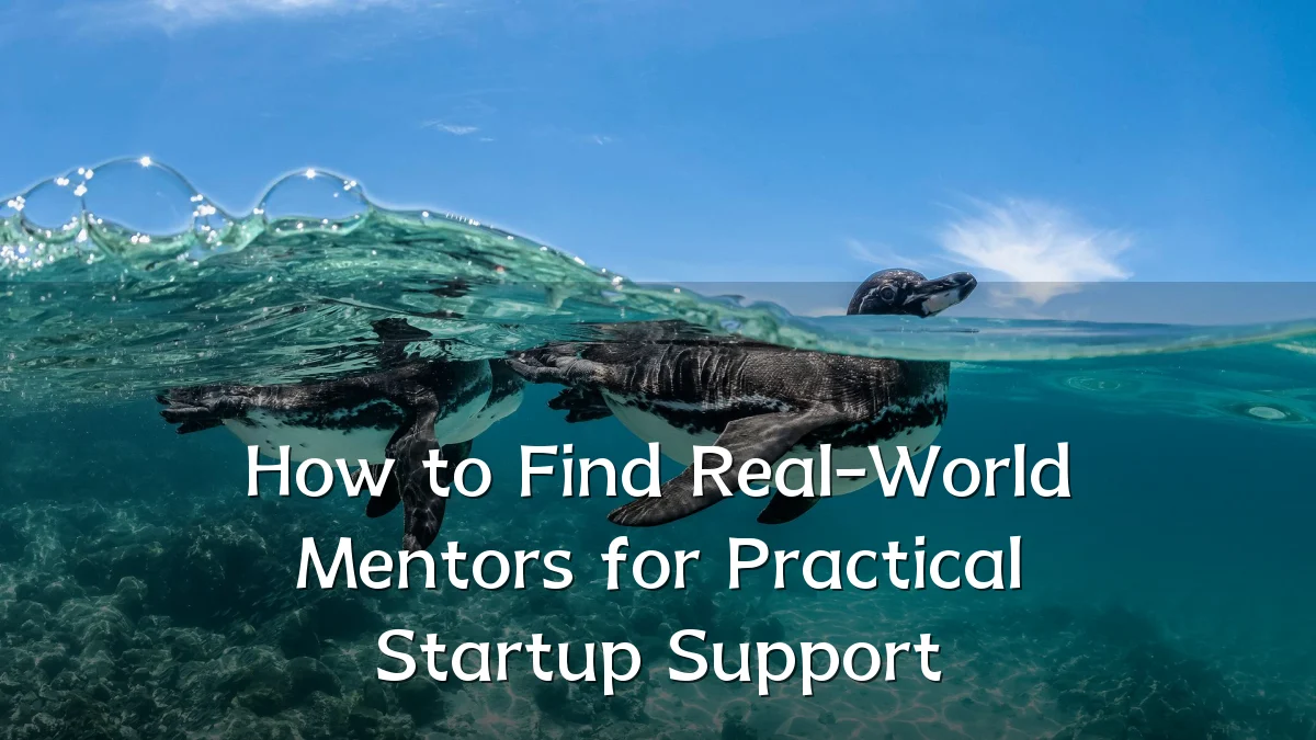 How to Find Real-World Mentors for Practical Startup Support