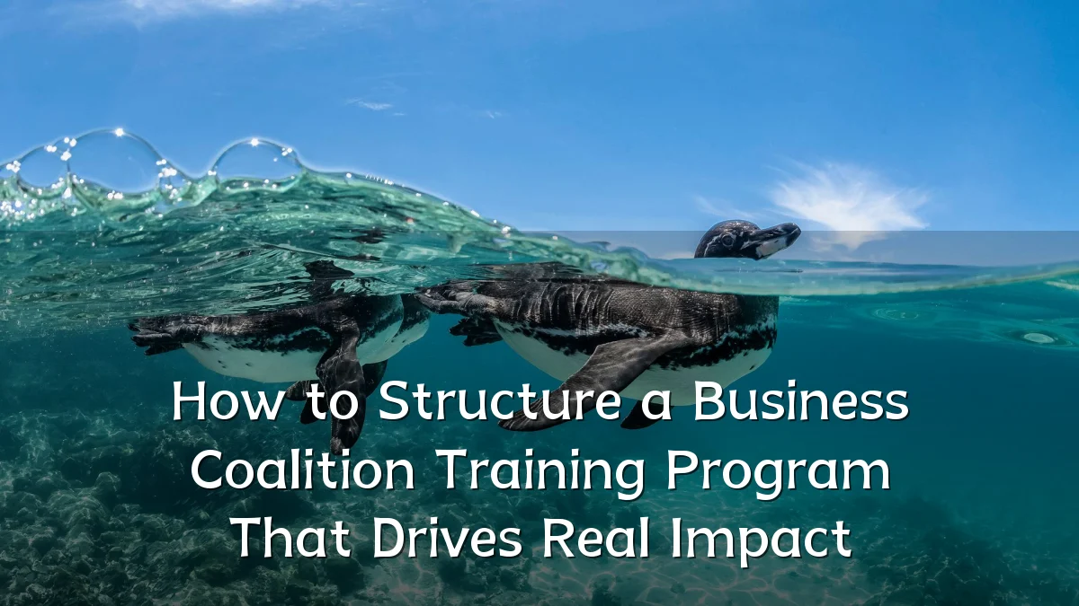 How to Structure a Business Coalition Training Program That Drives Real Impact