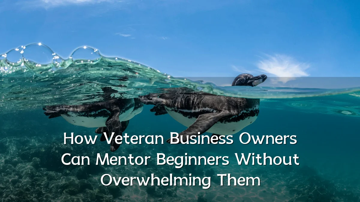 How Veteran Business Owners Can Mentor Beginners Without Overwhelming Them