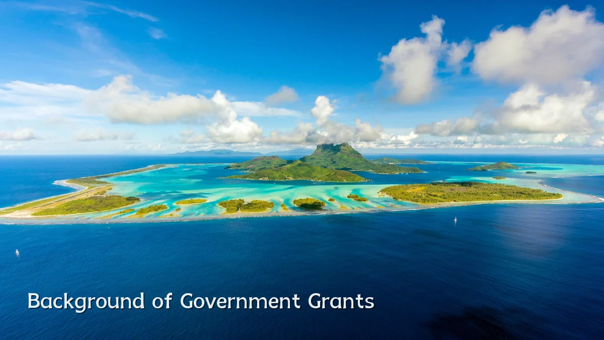 Background of Government Grants