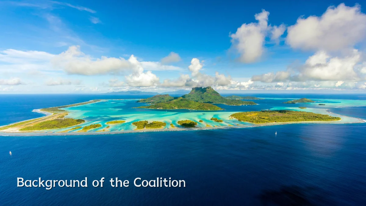 Background of the Coalition