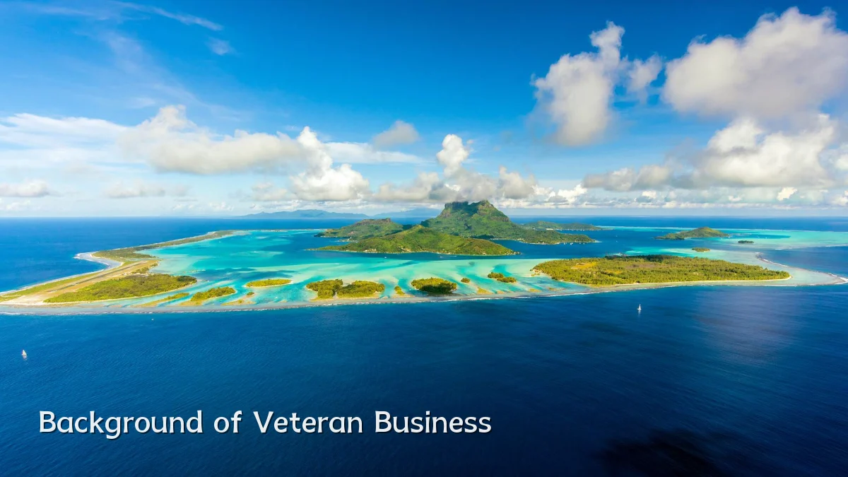 Background of Veteran Business