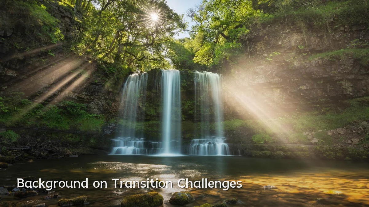 Background on Transition Challenges