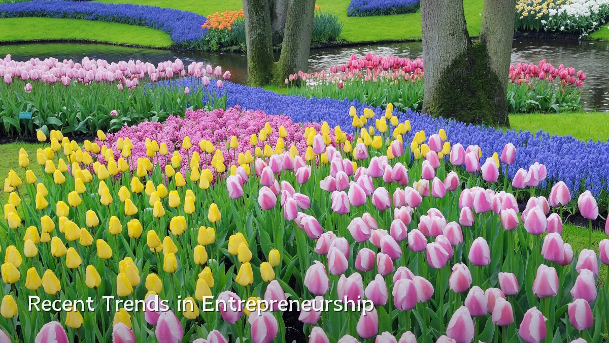 Recent Trends in Entrepreneurship