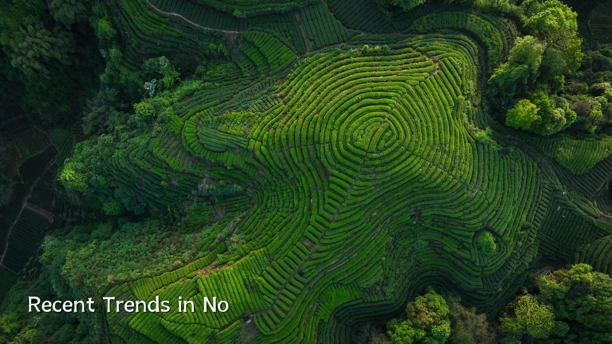 Recent Trends in No