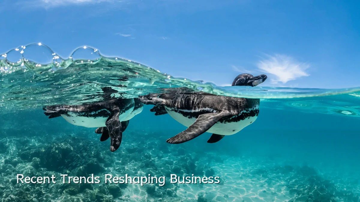 Recent Trends Reshaping Business