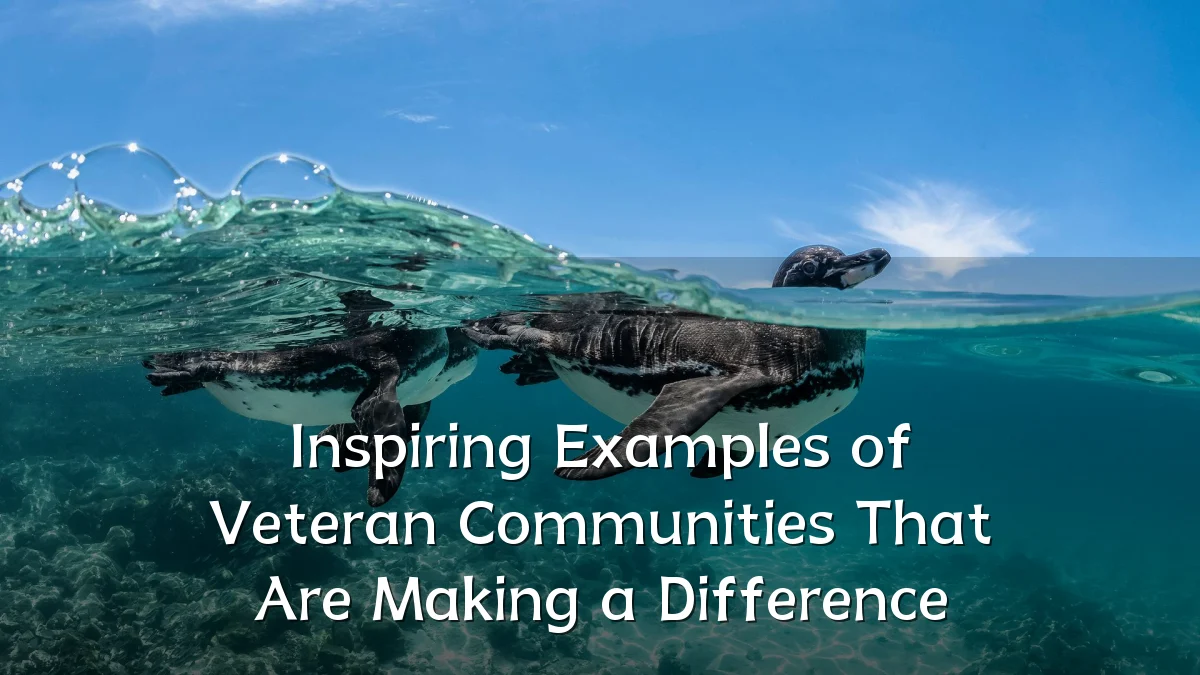 Inspiring Examples of Veteran Communities That Are Making a Difference