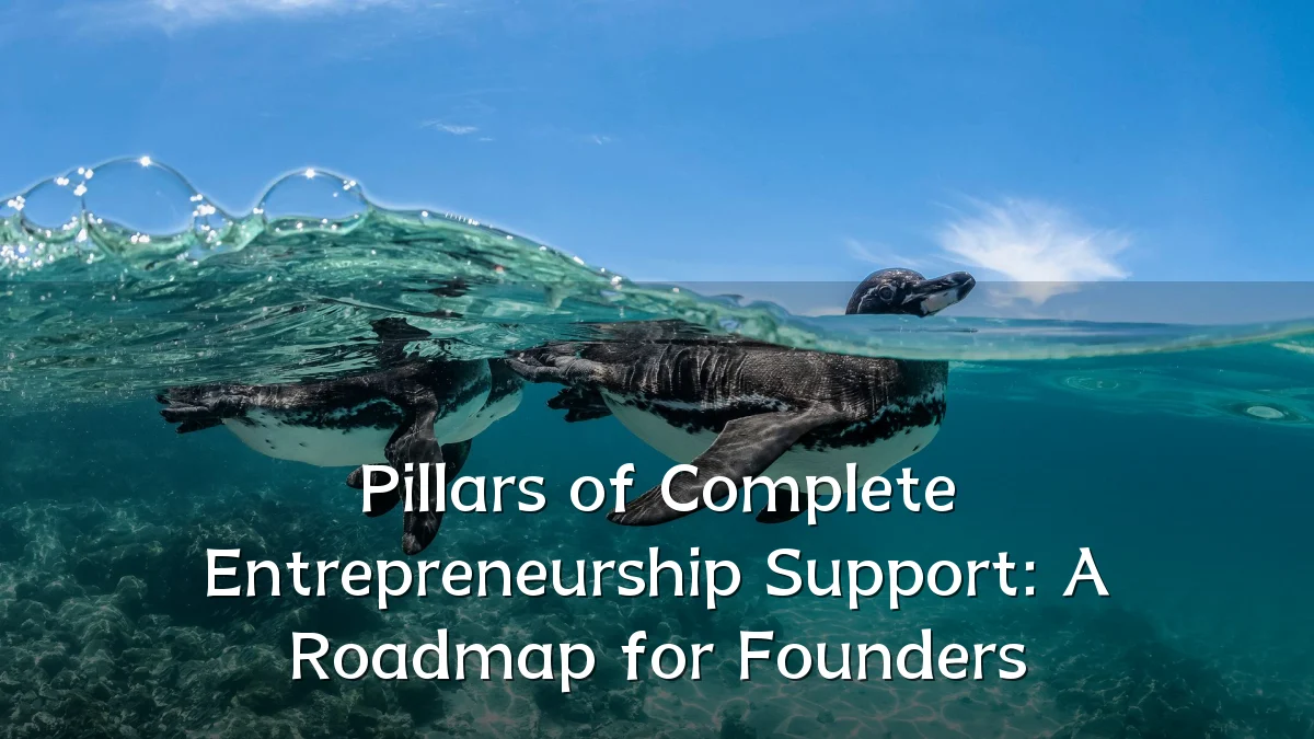 Pillars of Complete Entrepreneurship Support: A Roadmap for Founders
