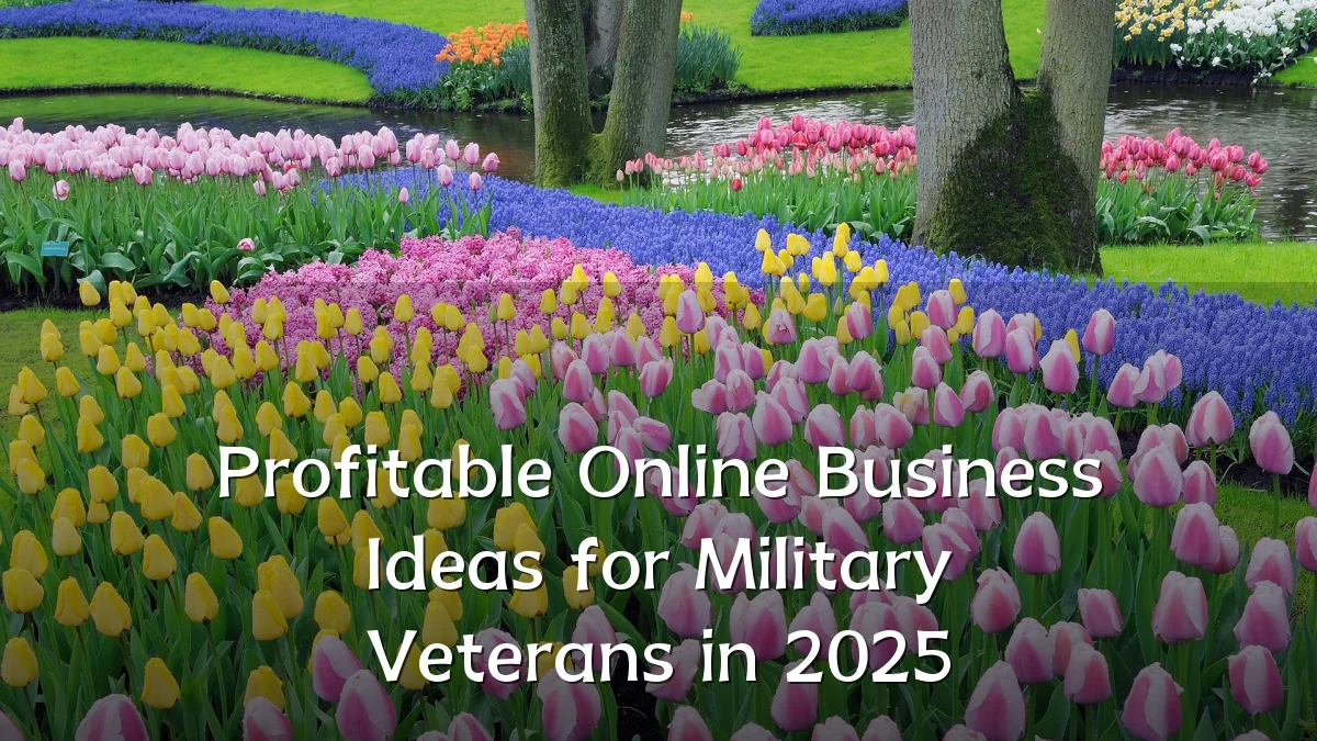 Profitable Online Business Ideas for Military Veterans in 2025