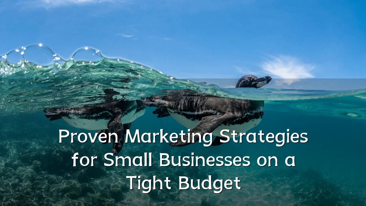 Proven Marketing Strategies for Small Businesses on a Tight Budget