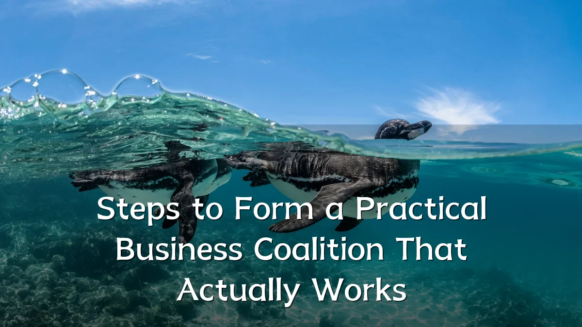 Steps to Form a Practical Business Coalition That Actually Works