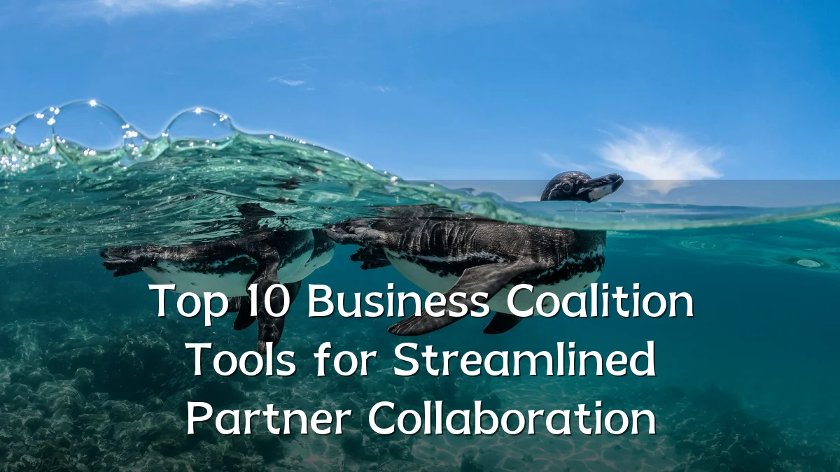 Top 10 Business Coalition Tools for Streamlined Partner Collaboration