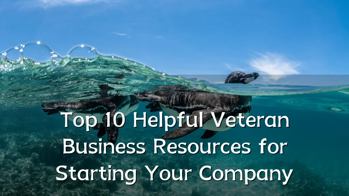 Top 10 Helpful Veteran Business Resources for Starting Your Company