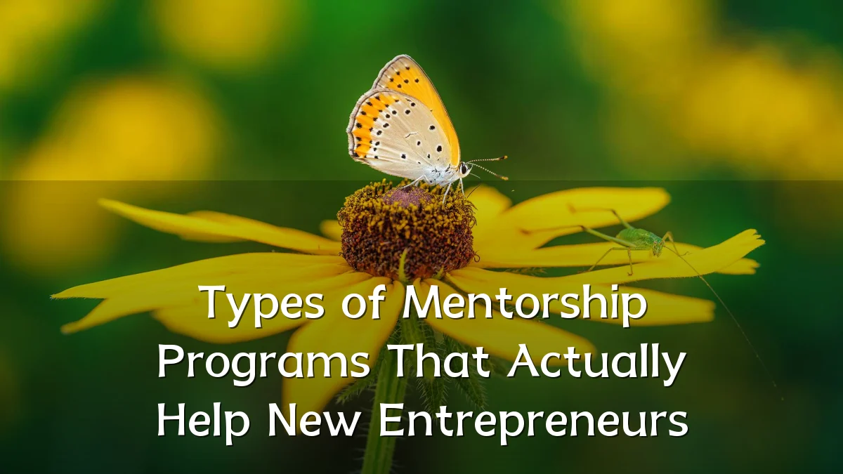 Types of Mentorship Programs That Actually Help New Entrepreneurs