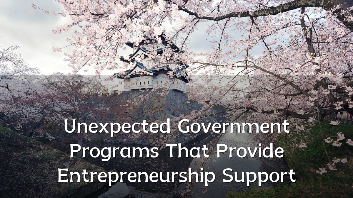 Unexpected Government Programs That Provide Entrepreneurship Support