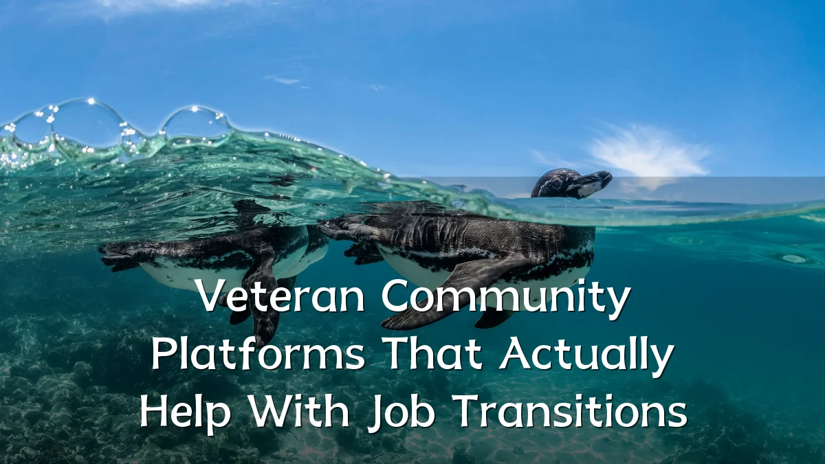 Veteran Community Platforms That Actually Help With Job Transitions