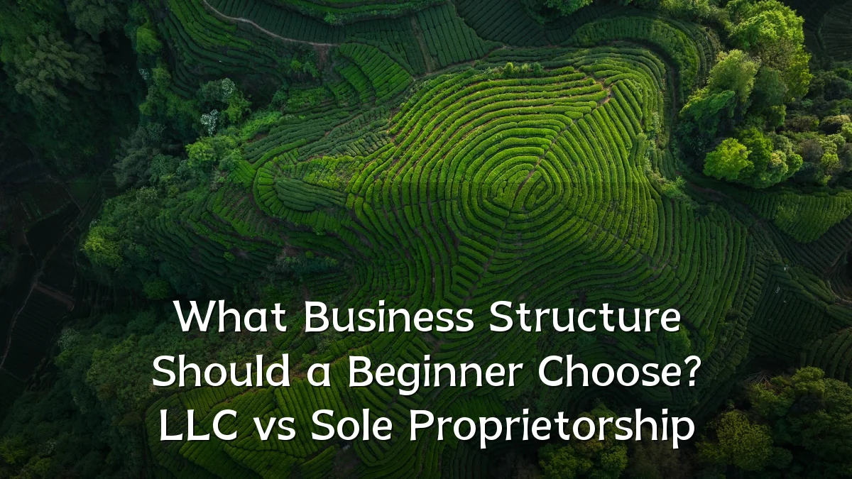 What Business Structure Should a Beginner Choose? LLC vs Sole Proprietorship
