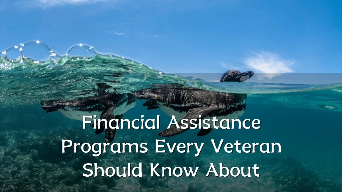 Financial Assistance Programs Every Veteran Should Know About