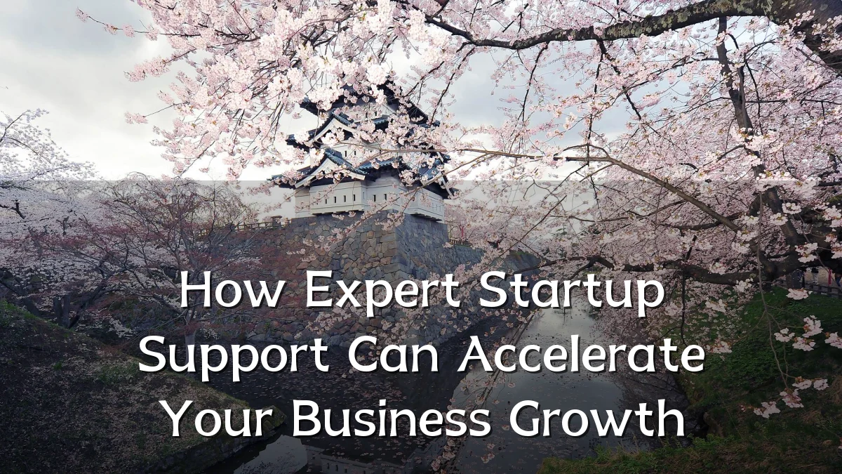 How Expert Startup Support Can Accelerate Your Business Growth