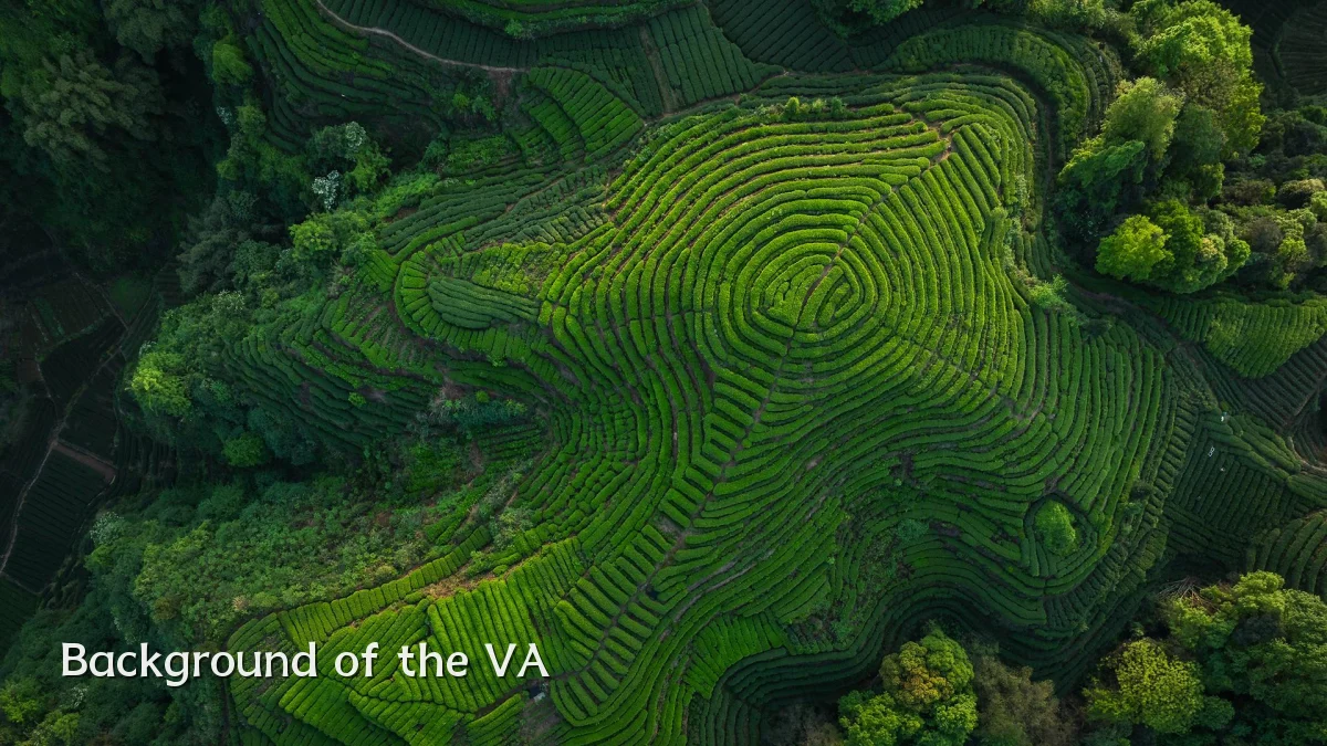 Background of the VA