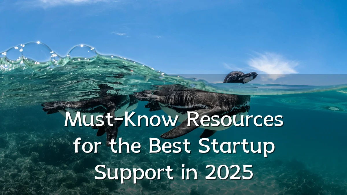 Must-Know Resources for the Best Startup Support in 2025