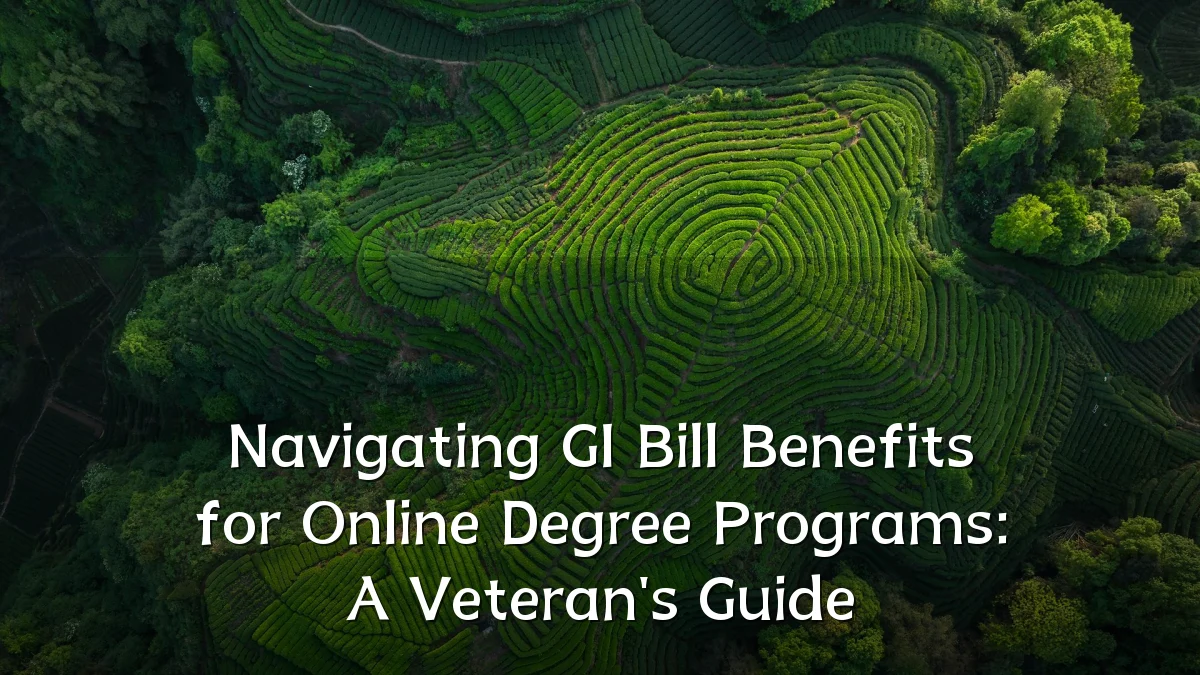 Navigating GI Bill Benefits for Online Degree Programs: A Veteran's Guide