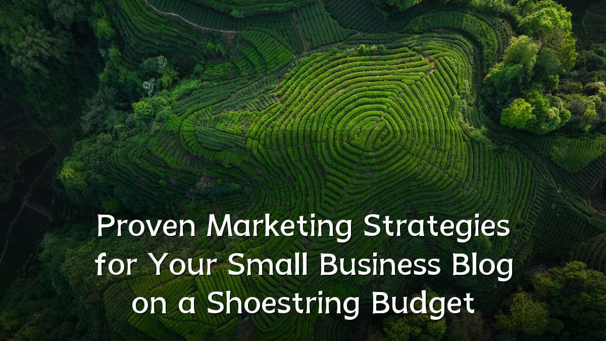 Proven Marketing Strategies for Your Small Business Blog on a Shoestring Budget