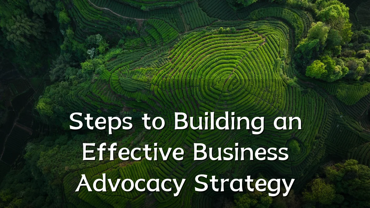 Steps to Building an Effective Business Advocacy Strategy