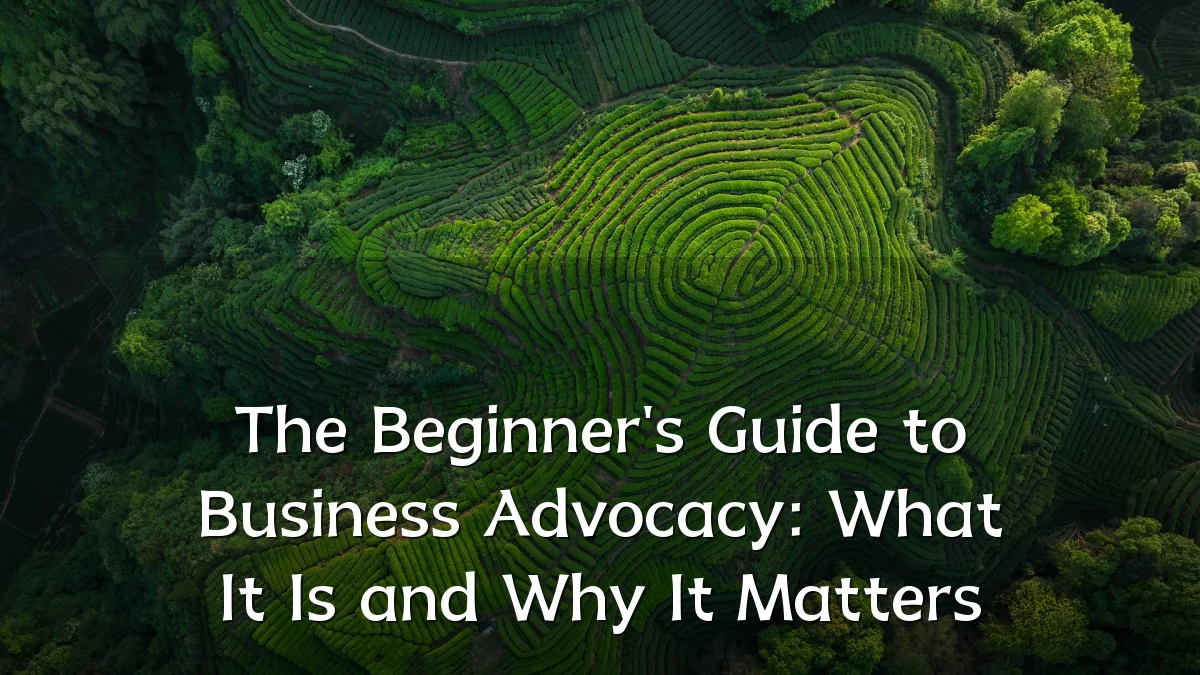 The Beginner's Guide to Business Advocacy: What It Is and Why It Matters