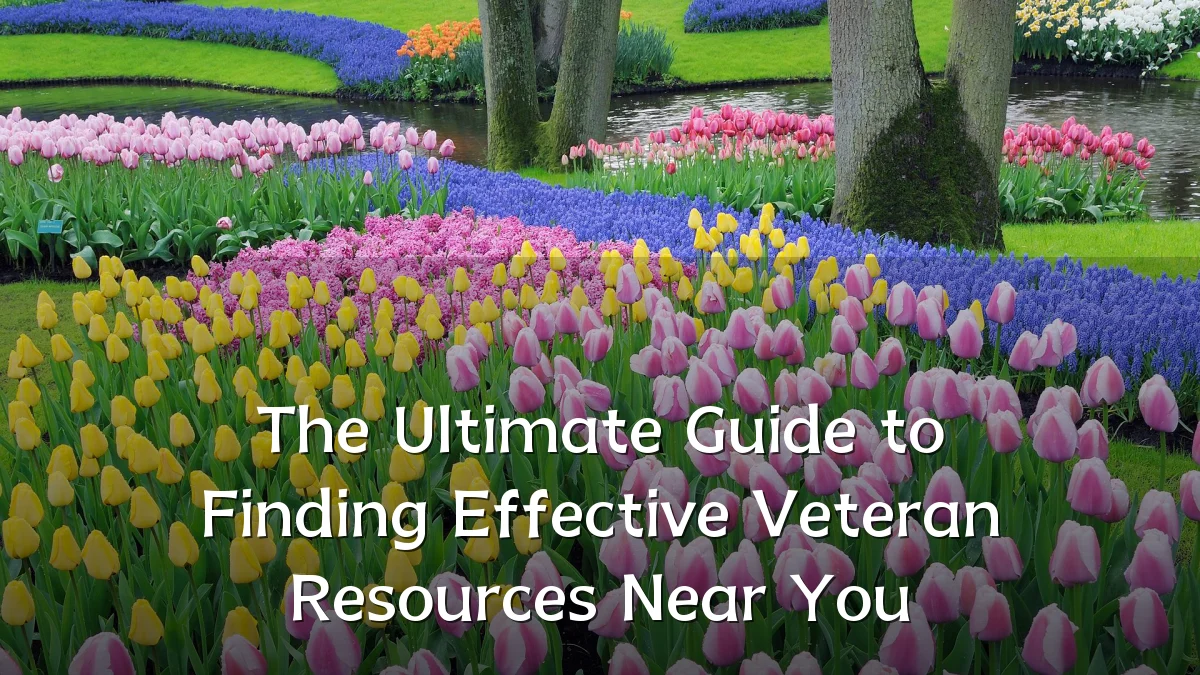 The Ultimate Guide to Finding Effective Veteran Resources Near You