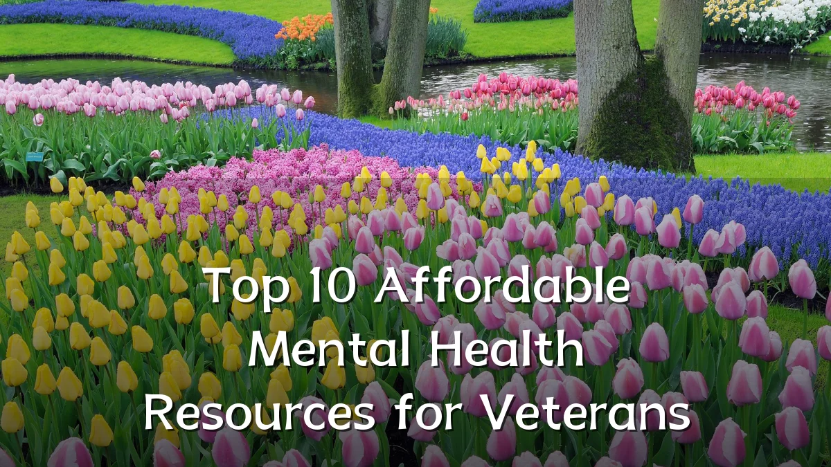 Top 10 Affordable Mental Health Resources for Veterans