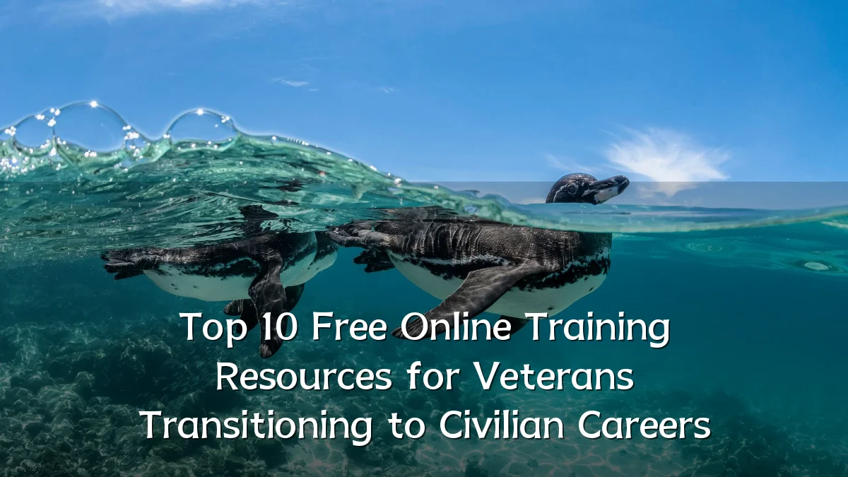 Top 10 Free Online Training Resources for Veterans Transitioning to Civilian Careers
