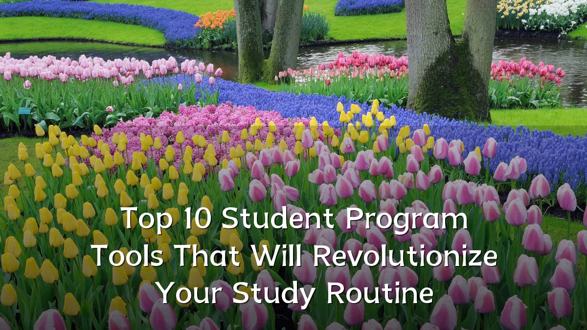 Top 10 Student Program Tools That Will Revolutionize Your Study Routine