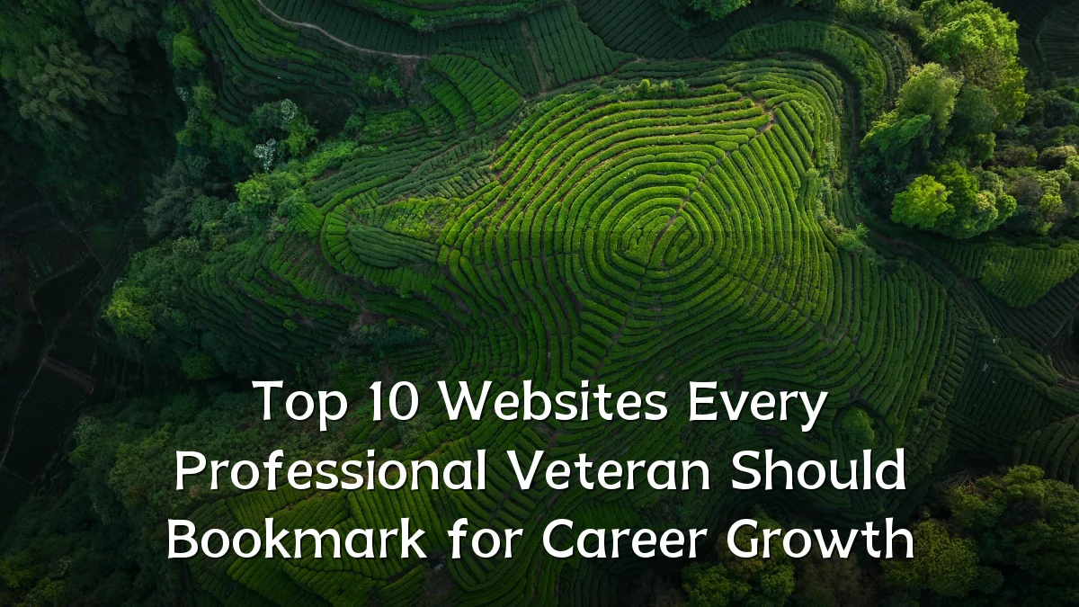 Top 10 Websites Every Professional Veteran Should Bookmark for Career Growth